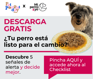 Ventajas de ofrecer a tu perro comida casera cocinada